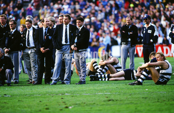 1992 AFL Grand Final - West Coast v Geelong - 20715