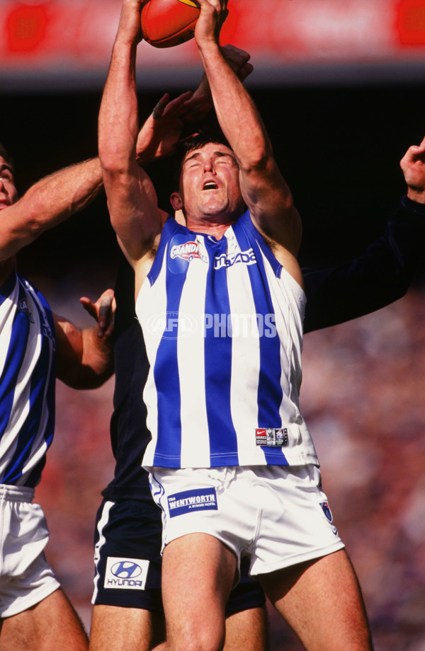 1999 AFL Grand Final - Carlton V Kangaroos - 22254