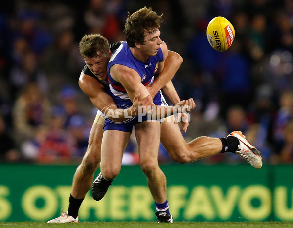 AFL 2015 Rd 19 - Western Bulldogs v Port Adelaide - 394382