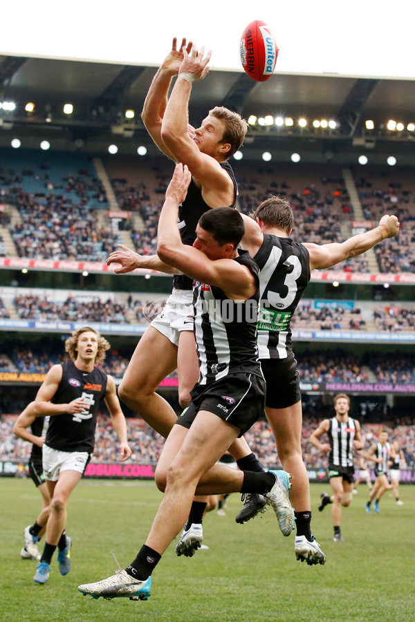 AFL 2015 Rd 19 - Collingwood v Carlton - 394335