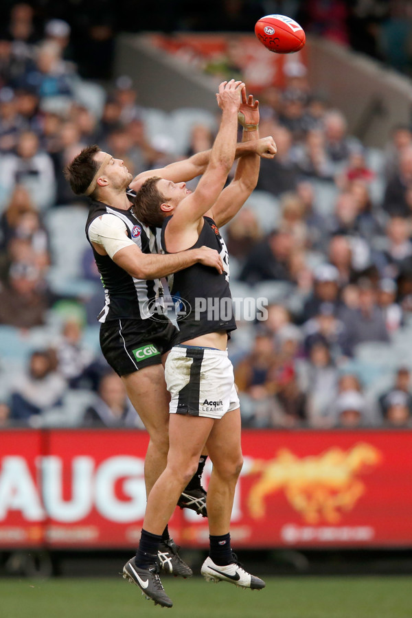 AFL 2015 Rd 19 - Collingwood v Carlton - 394455