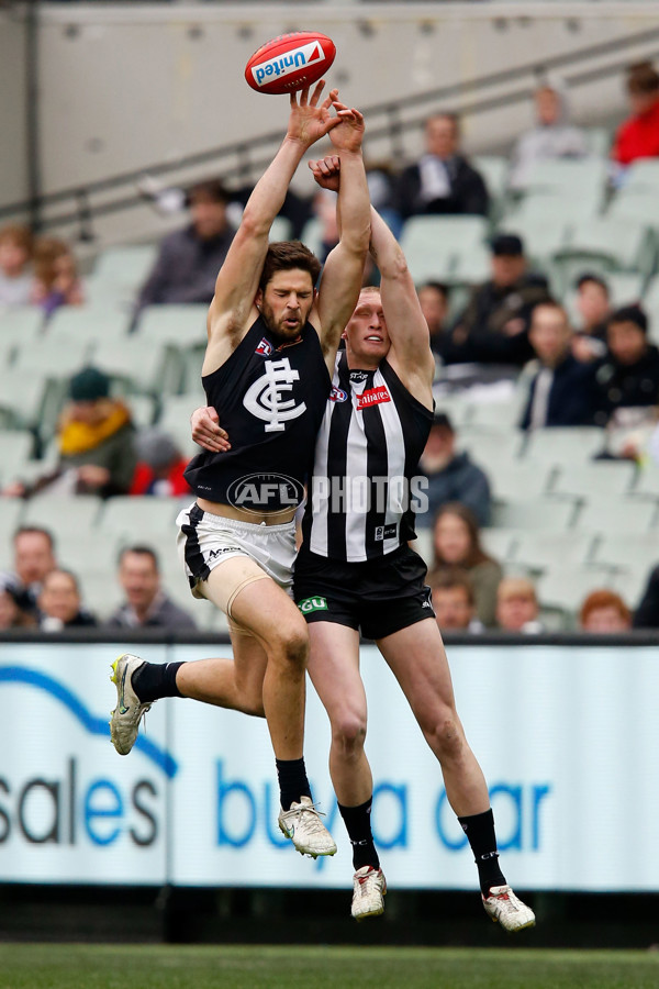 AFL 2015 Rd 19 - Collingwood v Carlton - 394422