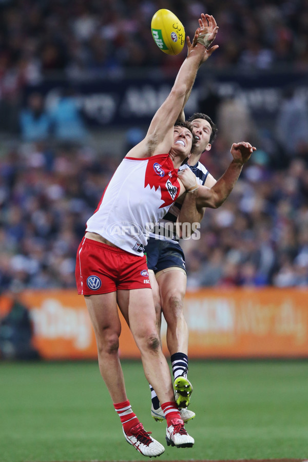 AFL 2015 Rd 19 - Geelong v Sydney - 394727