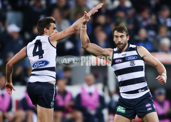 AFL 2015 Rd 19 - Geelong v Sydney - 394524