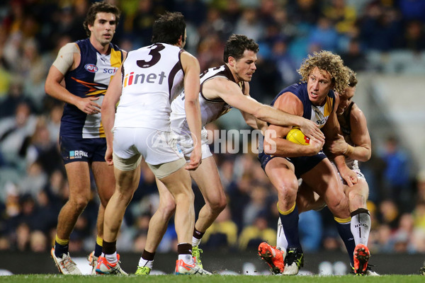 AFL 2015 Rd 19 - West Coast v Hawthorn - 394893