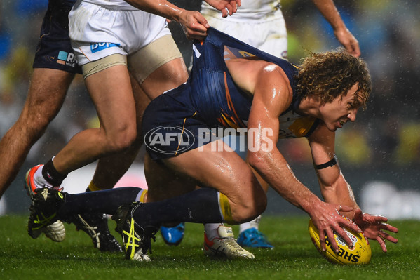 AFL 2015 Rd 19 - West Coast v Hawthorn - 394628