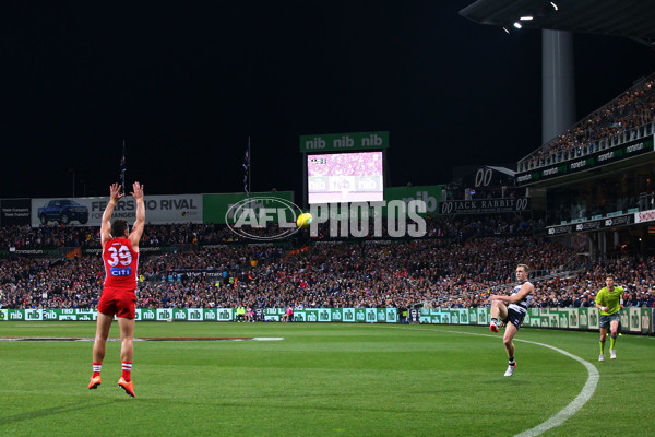 AFL 2015 Rd 19 - Geelong v Sydney - 394835