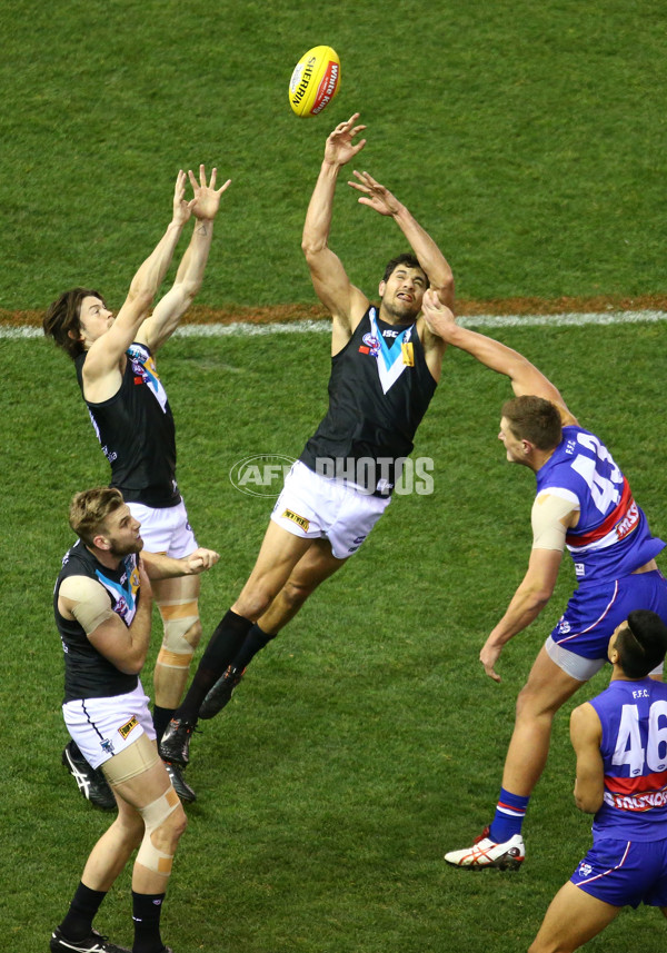 AFL 2015 Rd 19 - Western Bulldogs v Port Adelaide - 394943