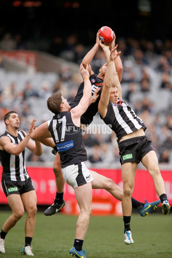 AFL 2015 Rd 19 - Collingwood v Carlton - 394321