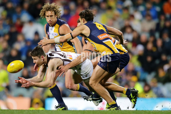 AFL 2015 Rd 19 - West Coast v Hawthorn - 394891