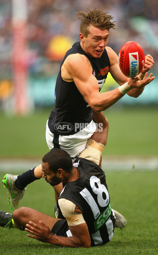 AFL 2015 Rd 19 - Collingwood v Carlton - 394180