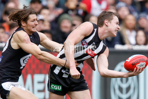 AFL 2015 Rd 19 - Collingwood v Carlton - 394305