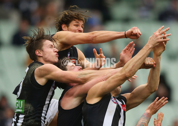 AFL 2015 Rd 19 - Collingwood v Carlton - 394243