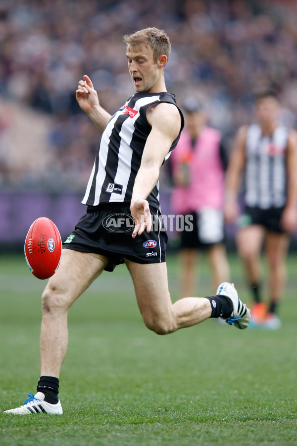 AFL 2015 Rd 19 - Collingwood v Carlton - 394186