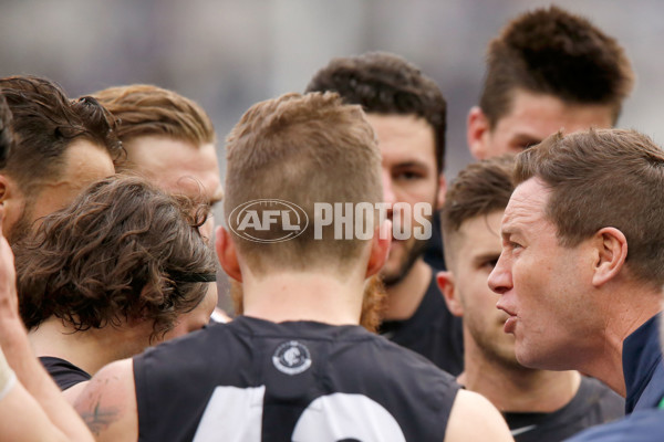 AFL 2015 Rd 19 - Collingwood v Carlton - 394296