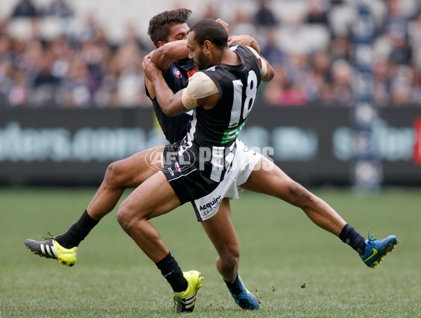 AFL 2015 Rd 19 - Collingwood v Carlton - 394213