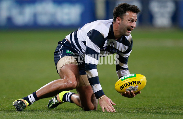 AFL 2015 Rd 19 - Geelong v Sydney - 394929