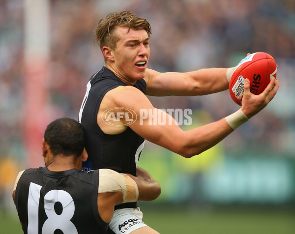 AFL 2015 Rd 19 - Collingwood v Carlton - 394179