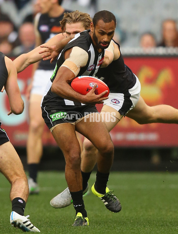 AFL 2015 Rd 19 - Collingwood v Carlton - 394173