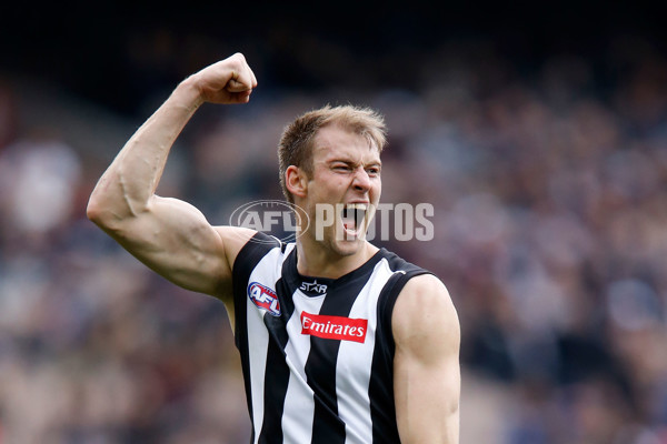 AFL 2015 Rd 19 - Collingwood v Carlton - 394188