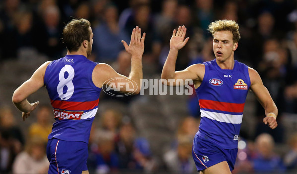 AFL 2015 Rd 19 - Western Bulldogs v Port Adelaide - 394250