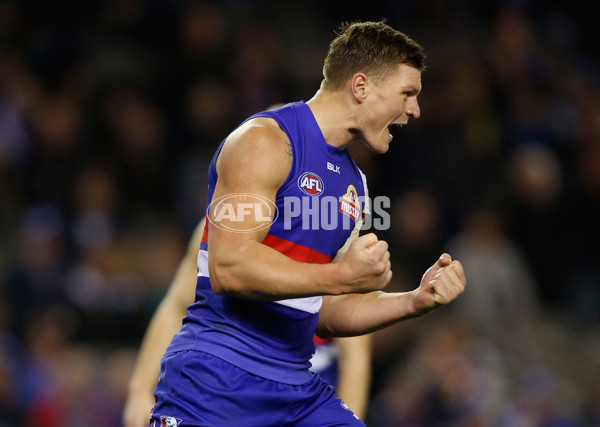 AFL 2015 Rd 19 - Western Bulldogs v Port Adelaide - 394317