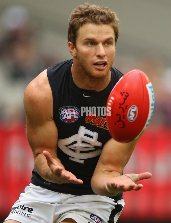 AFL 2015 Rd 19 - Collingwood v Carlton - 394198