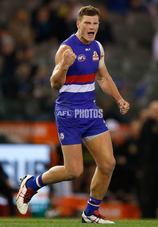 AFL 2015 Rd 19 - Western Bulldogs v Port Adelaide - 394323