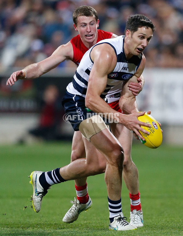 AFL 2015 Rd 19 - Geelong v Sydney - 394913