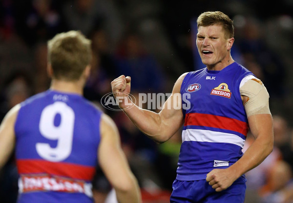 AFL 2015 Rd 19 - Western Bulldogs v Port Adelaide - 394389