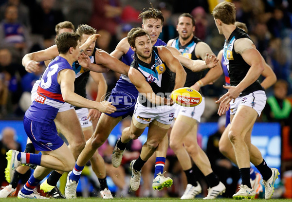 AFL 2015 Rd 19 - Western Bulldogs v Port Adelaide - 394226