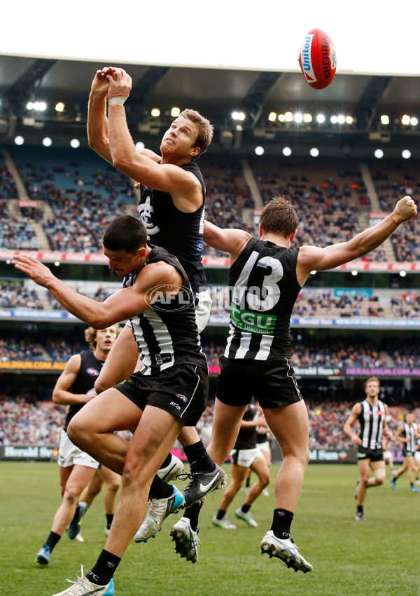 AFL 2015 Rd 19 - Collingwood v Carlton - 394334