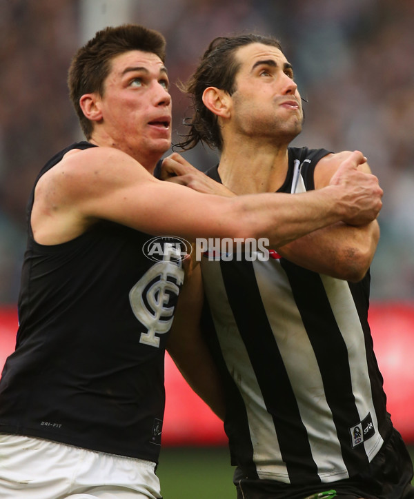 AFL 2015 Rd 19 - Collingwood v Carlton - 394348