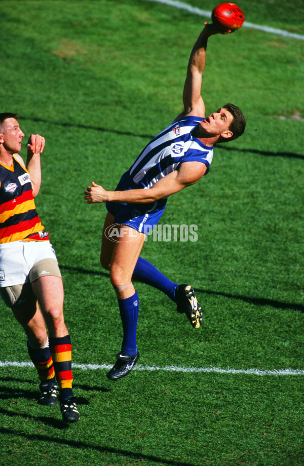 1998 AFL Grand Final - Adelaide v North Melbourne - 20994