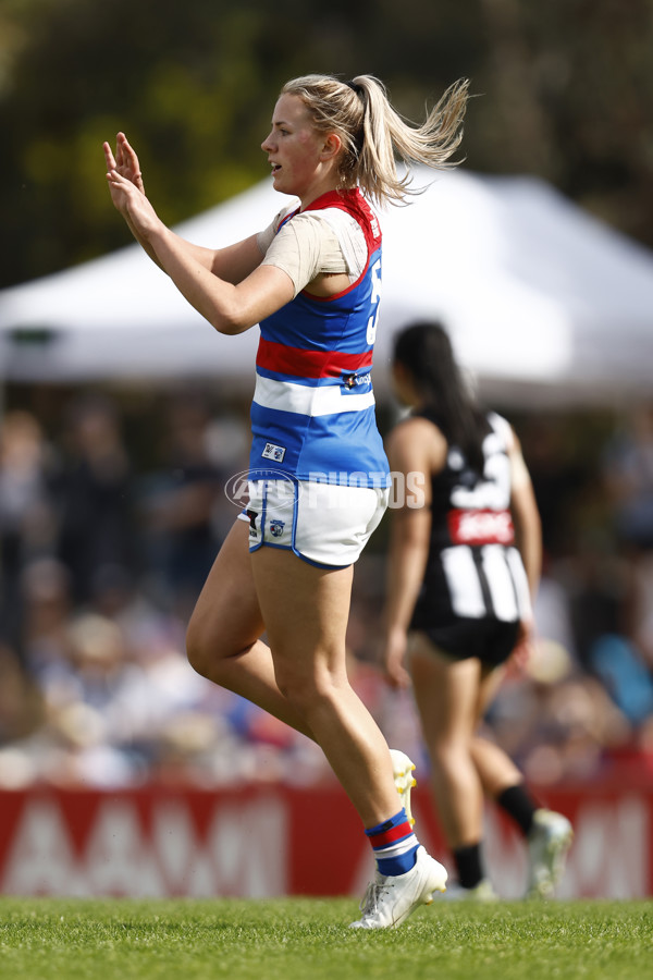 AFLW 2022 S7 Second Elimination Final - Collingwood v Western Bulldogs - A-521478