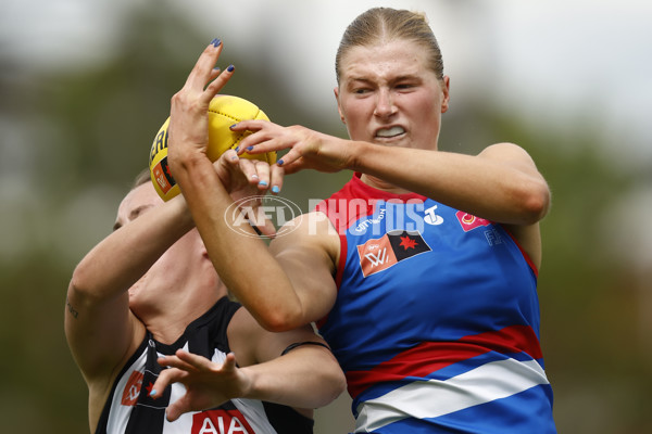 AFLW 2022 S7 Second Elimination Final - Collingwood v Western Bulldogs - A-522576