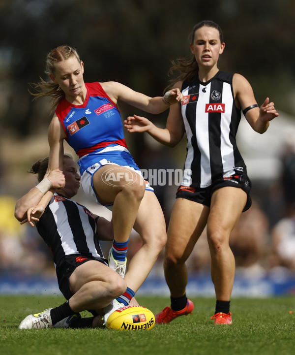 AFLW 2022 S7 Second Elimination Final - Collingwood v Western Bulldogs - A-522654