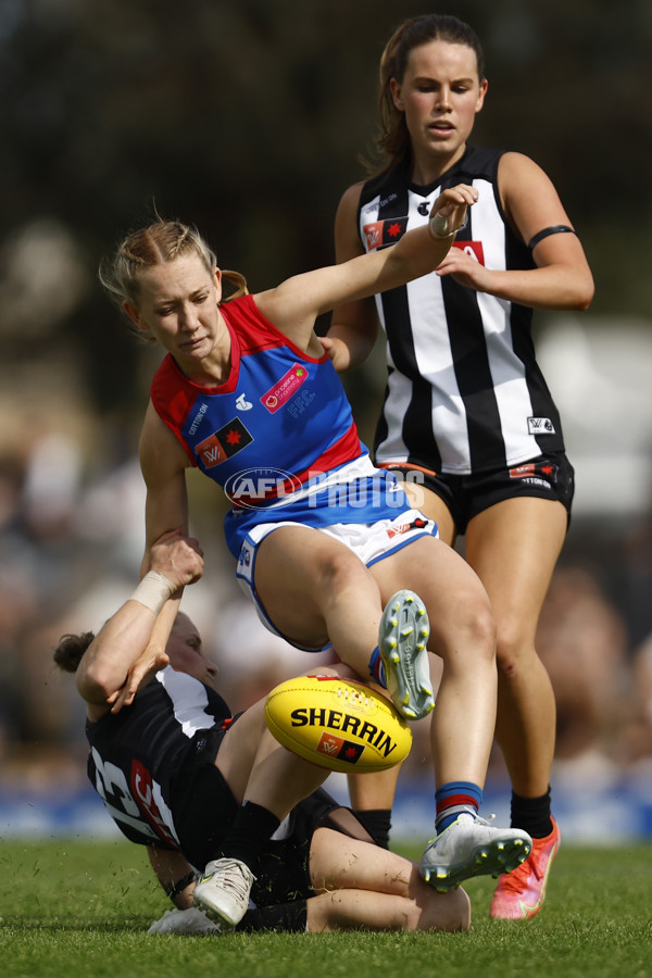 AFLW 2022 S7 Second Elimination Final - Collingwood v Western Bulldogs - A-523814