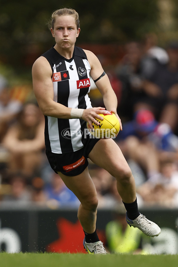 AFLW 2022 S7 Second Elimination Final - Collingwood v Western Bulldogs - A-523867