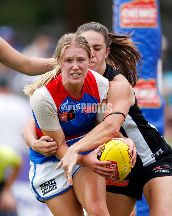 AFLW 2022 S7 Second Elimination Final - Collingwood v Western Bulldogs - A-527348