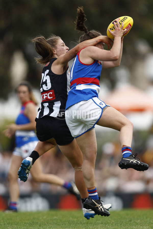 AFLW 2022 S7 Second Elimination Final - Collingwood v Western Bulldogs - A-529078