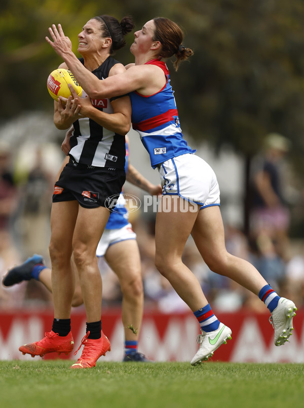 AFLW 2022 S7 Second Elimination Final - Collingwood v Western Bulldogs - A-529128