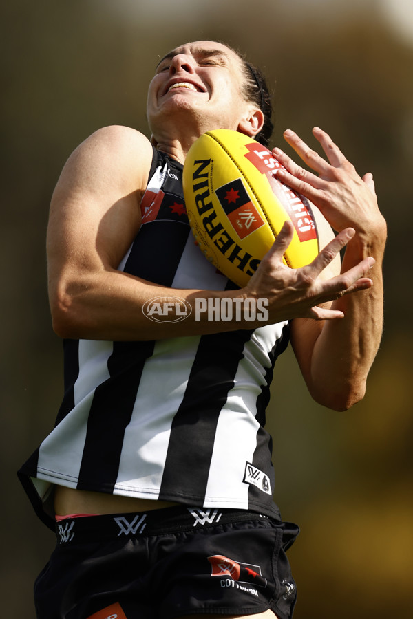 AFLW 2022 S7 Second Elimination Final - Collingwood v Western Bulldogs - A-529555