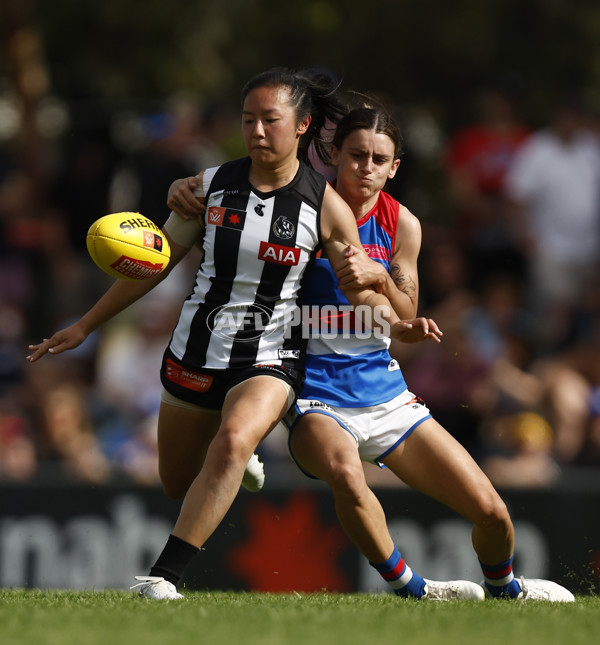 AFLW 2022 S7 Second Elimination Final - Collingwood v Western Bulldogs - A-529573