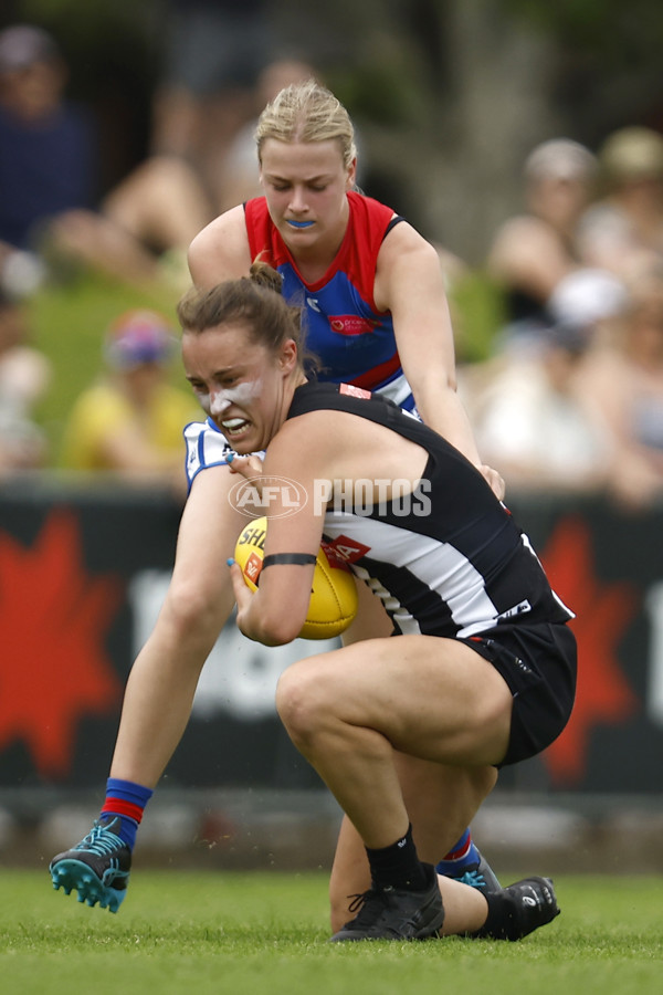 AFLW 2022 S7 Second Elimination Final - Collingwood v Western Bulldogs - A-529606