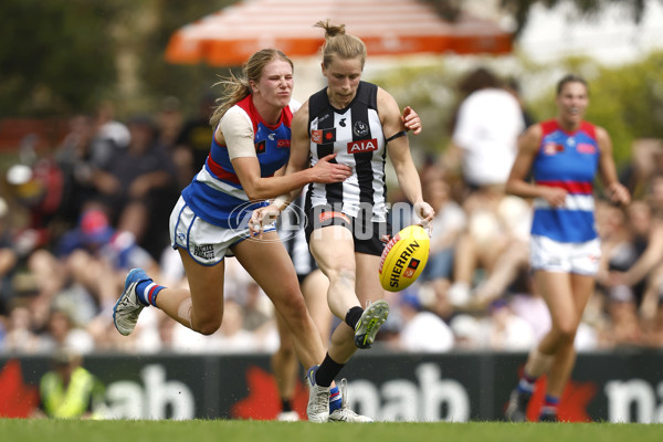 AFLW 2022 S7 Second Elimination Final - Collingwood v Western Bulldogs - A-529614