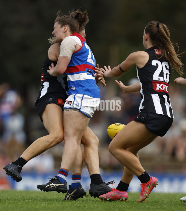 AFLW 2022 S7 Second Elimination Final - Collingwood v Western Bulldogs - A-531751