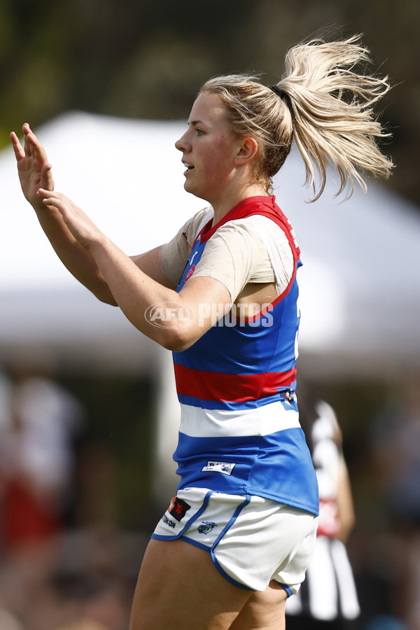 AFLW 2022 S7 Second Elimination Final - Collingwood v Western Bulldogs - A-534449