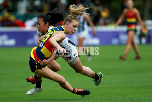 AFLW 2022 S7 Second Semi Final - Adelaide v Collingwood - A-551349