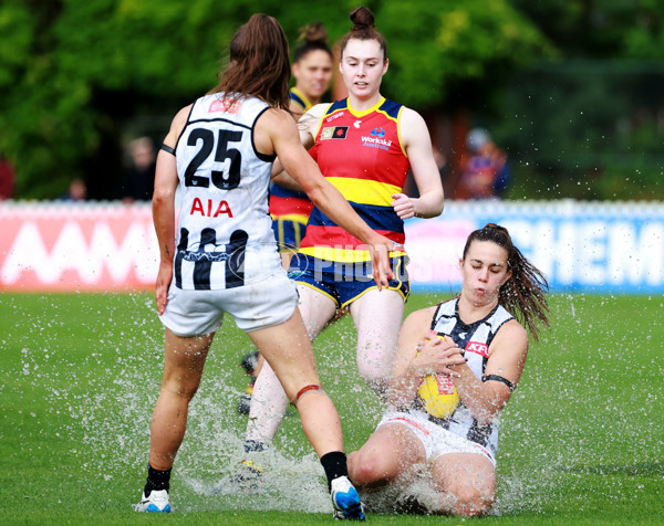 AFLW 2022 S7 Second Semi Final - Adelaide v Collingwood - A-551850